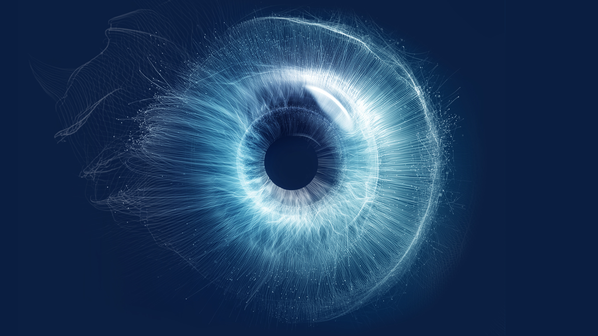 the eye